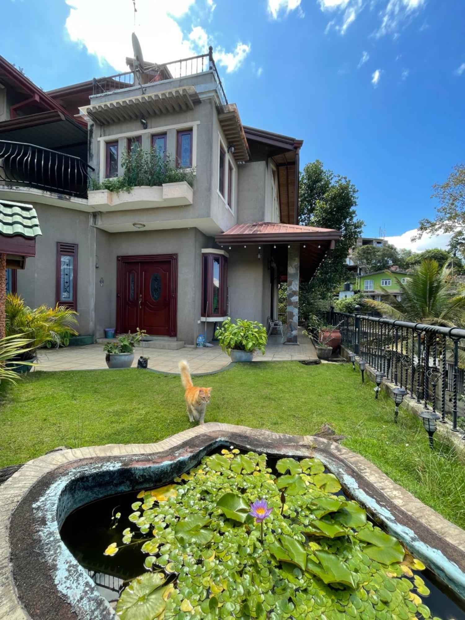 中国蒲公英民宿dandelion Guest House Villa With Mount View Kandy Exterior photo