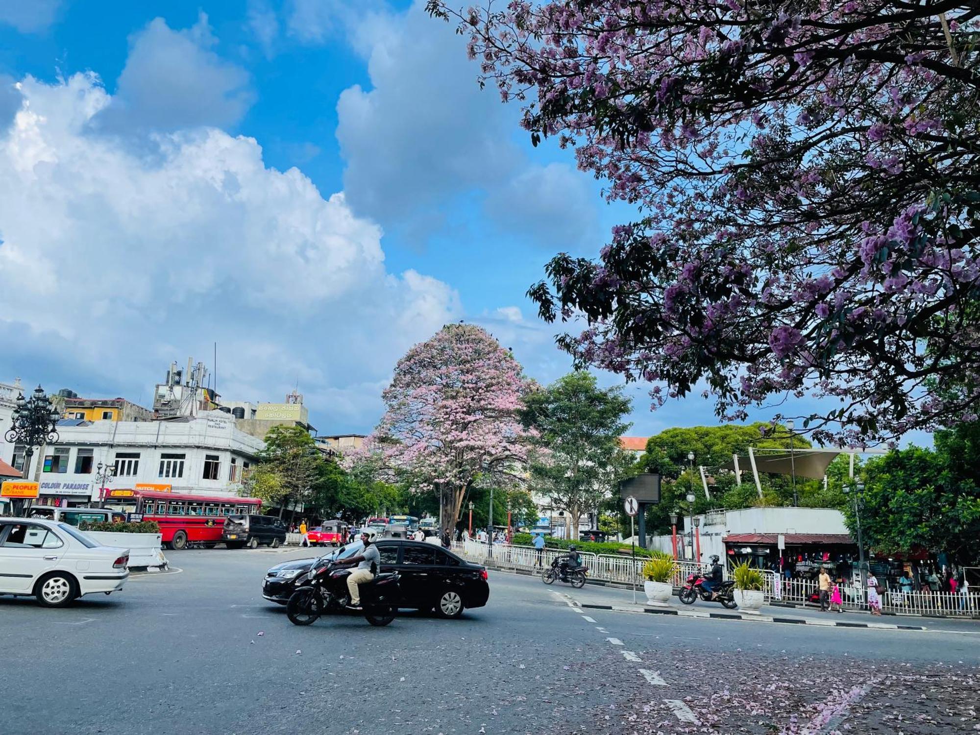 中国蒲公英民宿dandelion Guest House Villa With Mount View Kandy Exterior photo